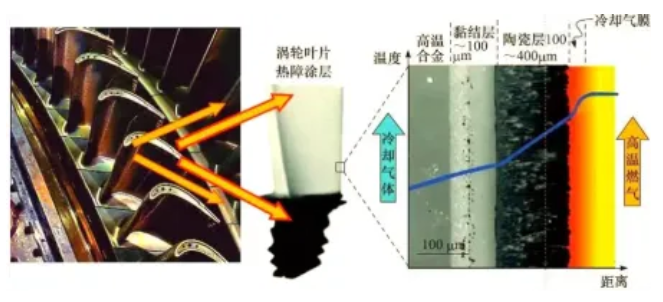 Z6·尊龙「中国区」官方网站