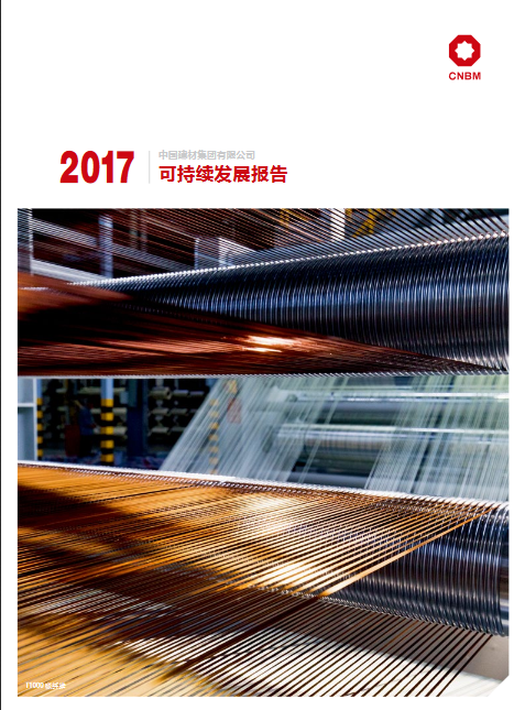 2017年可持续发展汇报